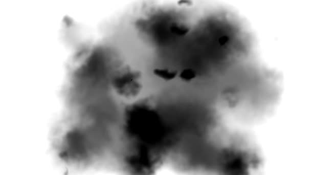 烟雾白色和黑色的介绍背景剪贴画 白色和黑色背景过渡的动画与烟雾和污渍淡入和淡出 — 图库视频影像