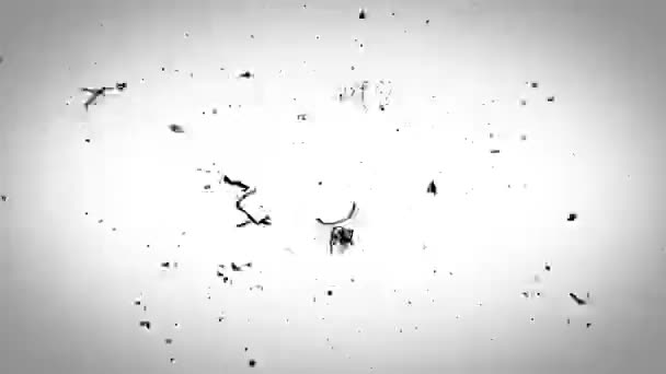 Grunge Stop Motion Frame Texturované Smyčka Animace Vintage Pohybu Grafiky — Stock video