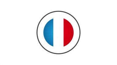 Made In France Badge Animation/ 4k cool animasyon u yapılmış bir fransa rozeti mühür sertifikası yıldız ve çizgili