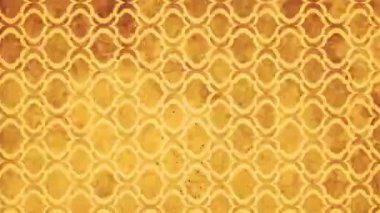 Vintage Süs Kağıt Desenleri Dokulu Arka Plan / grunge dekoratif kağıt desenleri ve dokular sorunsuz döngü ile bir vintage hareket grafik 4k animasyon