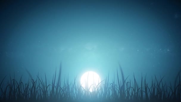 草の葉美しい夜のスカイループ 月と星と夜空に風と一緒に移動草のブレードとループ可能な美しい自然の背景の4Kアニメーション — ストック動画