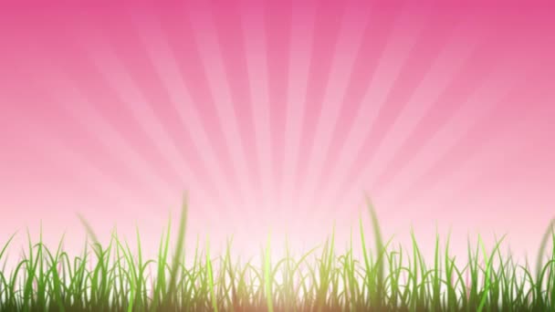 草の葉美しい空の背景ループ 4Kアニメーションは 太陽の効果を輝かすための風とレンズフレアで移動草のブレードとループ可能な美しい自然の背景 — ストック動画