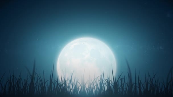 Grass Leaves Beautiful Night Sky Loop Animation Loopable Beautiful Nature — Stock Video