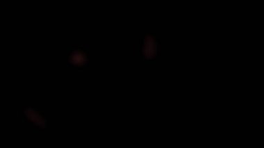 Beyaz bir arkaplan kağıdının Fask Fx Geçiş Klipsleri / 4k animasyonu ya da işaret fişeği ve şablon şekilleriyle film yakma