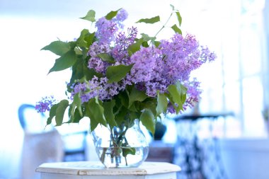 Cam vazoda bir demet leylak. Cam vazoda bir demet leylak. İçi sandalyeyle dolu..