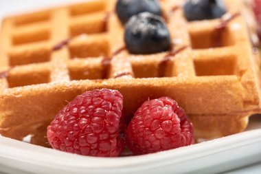 Tatlı tabağı. Dondurma, yaban mersini ve ahududu ile Belçika waffle 'ı.