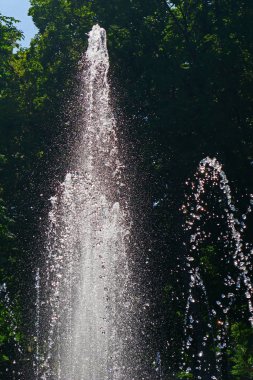 Şehrin parkındaki çeşme..