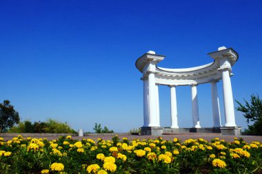 Parktaki güzel beyaz oyuk