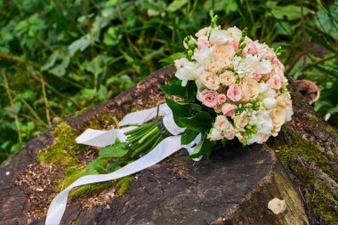 Dere kenarında bir düğün çiçeği..