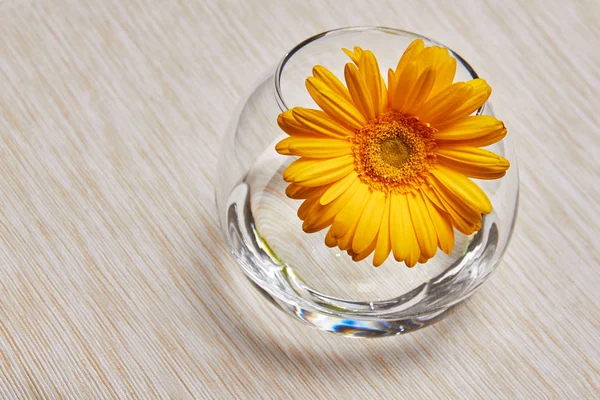 Gele Gerbera in een glazen vaas met water. — Stockfoto