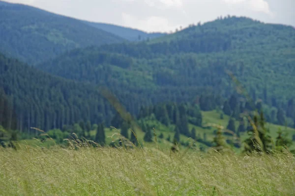 La belleza de Rumania — Foto de Stock