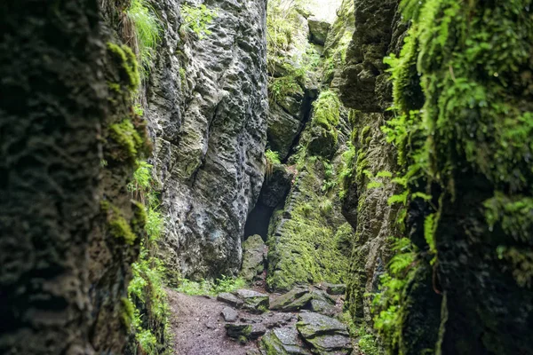 La beauté de la Roumanie — Photo