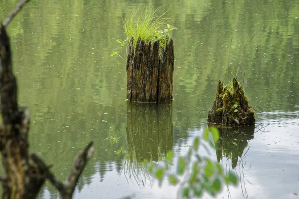 Die Schönheit Rumäniens — Stockfoto