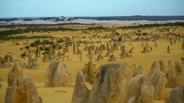 Sunrise Pinnacles пустеля в Австралії Перт — стокове відео