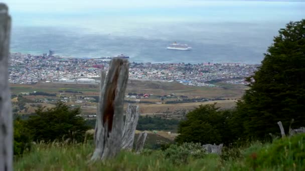 Punta Arenas Forrest wandeling met uitzicht op de Oceaan — Stockvideo