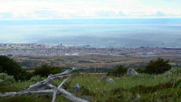 Пунта-Аренас Форрест поход с видом на океан — стоковое видео
