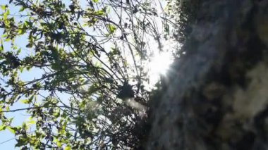 Cuzco alan sınırı doğa ve manzara