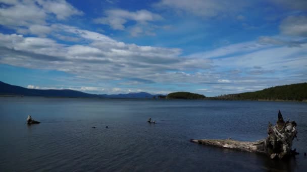 Ushuaia landskap och sjöar i Argentina — Stockvideo