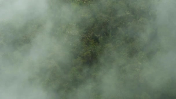 Machu Pichu en het avontuur bereikbaarheid — Stockvideo