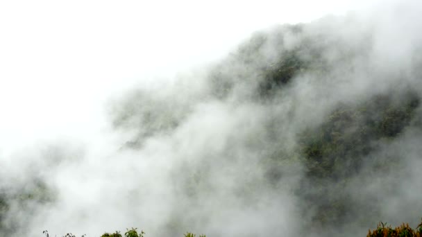 Machu Pichu och äventyret att komma dit — Stockvideo