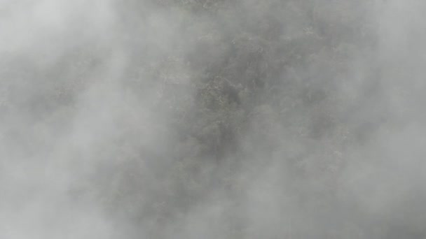 Machu Pichu과 거기에 지 고 모험 — 비디오