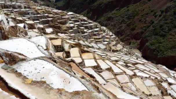 Maras Salt Mines In Peru — Stock Video
