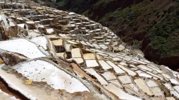 Minas de sal de Maras en Perú — Vídeo de stock