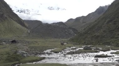 Dağlarda Trekking Salkantay