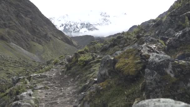 Salkantay vandring i bergen — Stockvideo