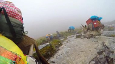 Santa Cruz Trekking Huaraz Dağları