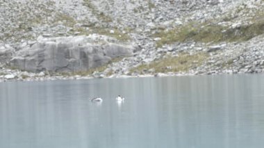 Santa Cruz Trekking Huaraz Dağları