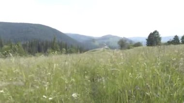 Gezi Transilvania doğa ve manzara