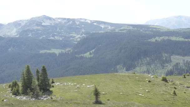 Το ταξίδι της Transilvania φύση και τοπία — Αρχείο Βίντεο