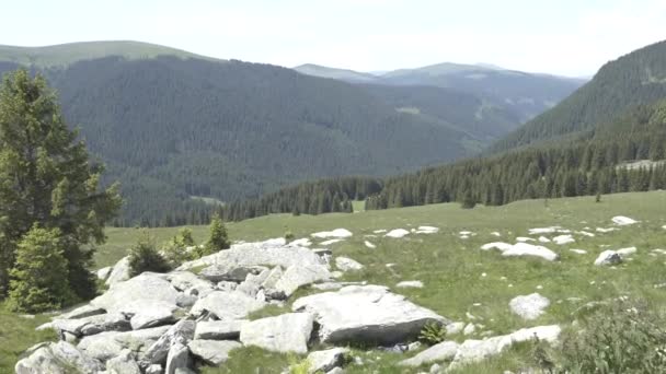 Reis van Transilvania natuur en landschap — Stockvideo