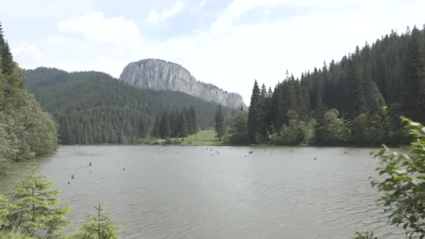 Viagem da Transilvânia Natureza e Paisagens — Vídeo de Stock