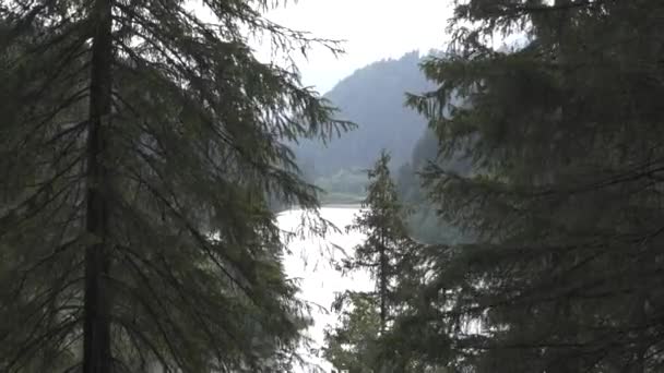 Transilvania 自然与山水之旅 — 图库视频影像