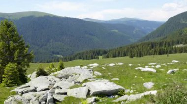 Gezi Transilvania doğa ve manzara