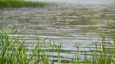 Gezi Transilvania doğa ve manzara