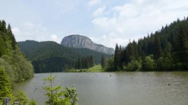 Gezi Transilvania doğa ve manzara