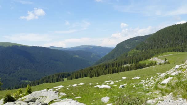 Reise durch transsilvanische Natur und Landschaften — Stockvideo