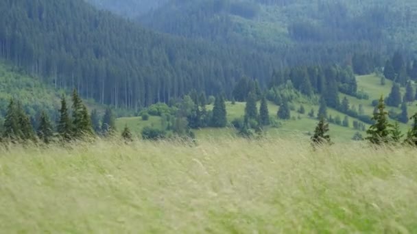 Reise durch transsilvanische Natur und Landschaften — Stockvideo