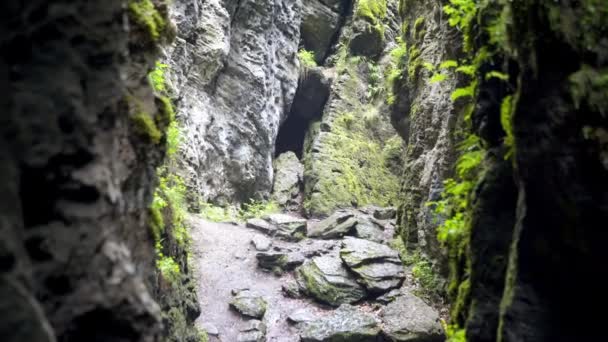 Resa av Transilvania natur och landskap — Stockvideo