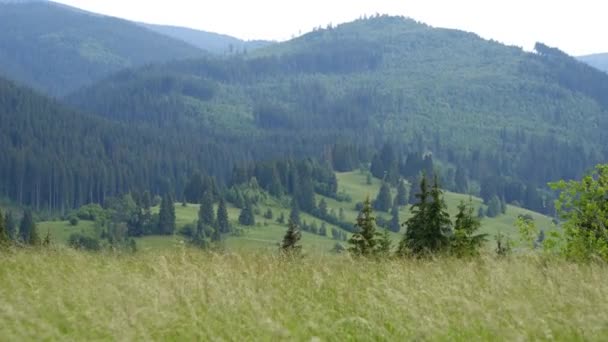 Reise durch transsilvanische Natur und Landschaften — Stockvideo