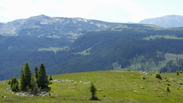 Viaje de Transilvania Naturaleza y Paisajes — Vídeos de Stock