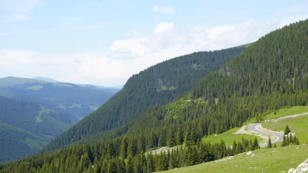 Wycieczka Transilvania przyroda i krajobrazy — Wideo stockowe