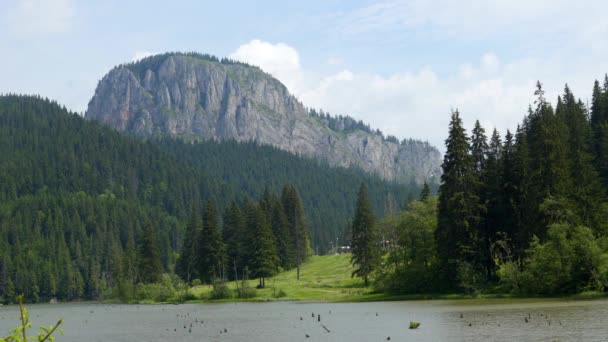 Wyjazd Rumunia Transilvania Przyroda Krajobrazy — Wideo stockowe