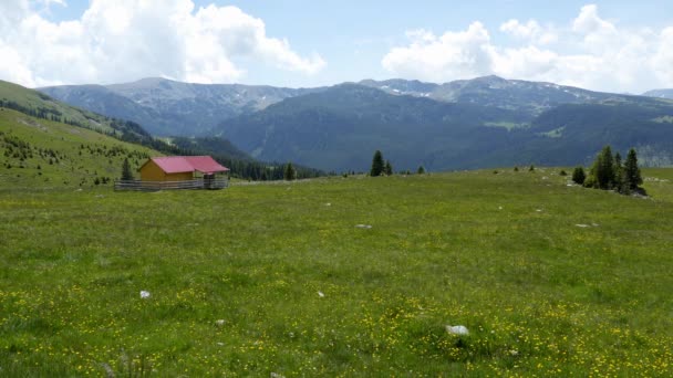 Viaggio in Transilvania Natura e Paesaggi — Video Stock