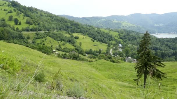 Viaggio in Transilvania Natura e Paesaggi — Video Stock