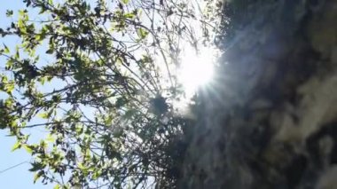 Cuzco alan sınırı doğa ve manzara