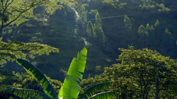 Machu Pichu och äventyret att komma dit — Stockvideo